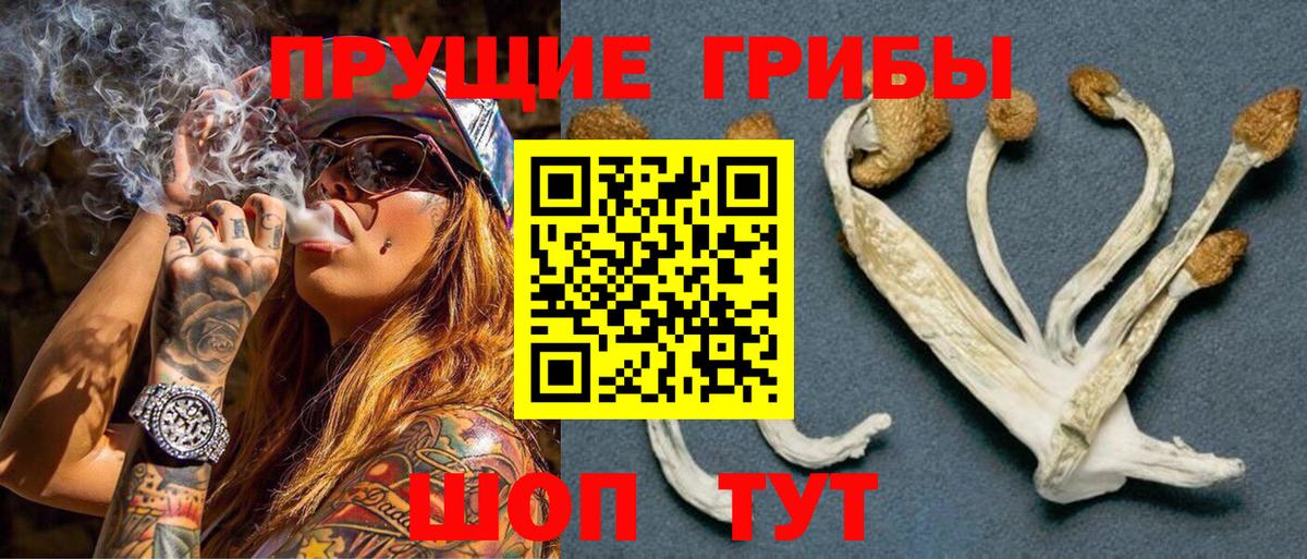 Псилоцибиновые грибы прущие грибы  Вход с VPN  Галлюциногенные грибы Magic Shrooms  хочу   Реутов 