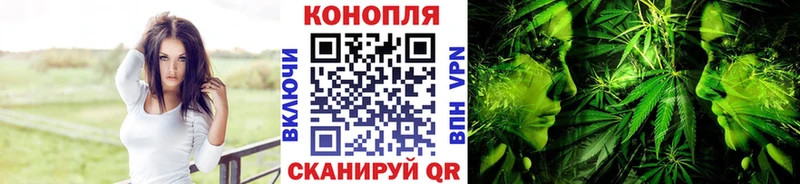 Каннабис ГИДРОПОН  Реутов 
